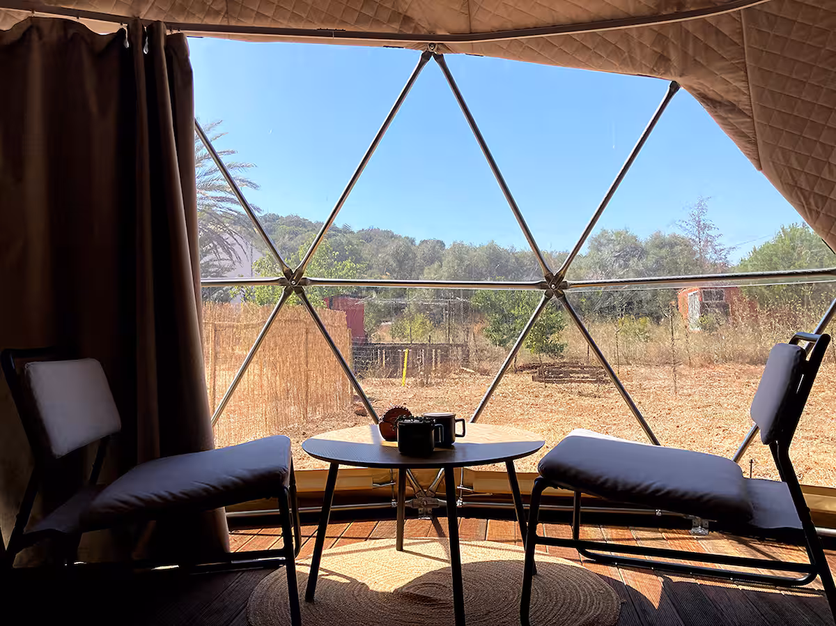 Looking out through the dome panel toward nature
