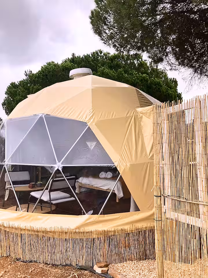 Outdoor dining area under the pines